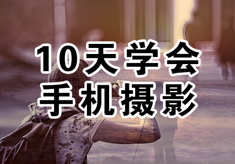 10天学会手机摄影飞来鱼学创营飞来鱼创富营