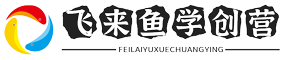 飞来鱼学创营