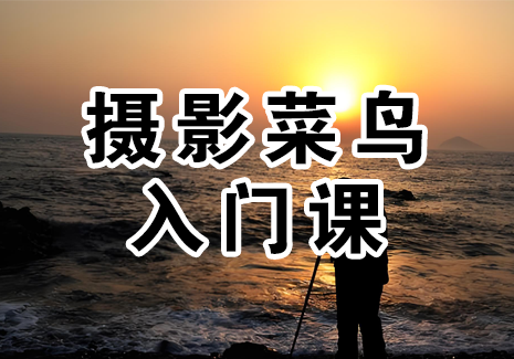 摄影菜鸟入门课飞来鱼学创营飞来鱼创富营
